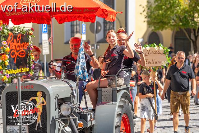 Foto Laudi_ Volksfestzug-107.jpg
